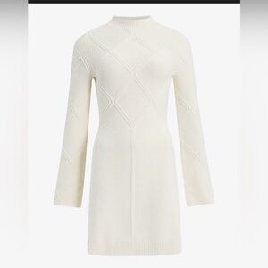 Express sweater dress